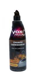 Champú Carrocerías